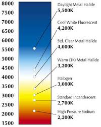 light temperature.jpg