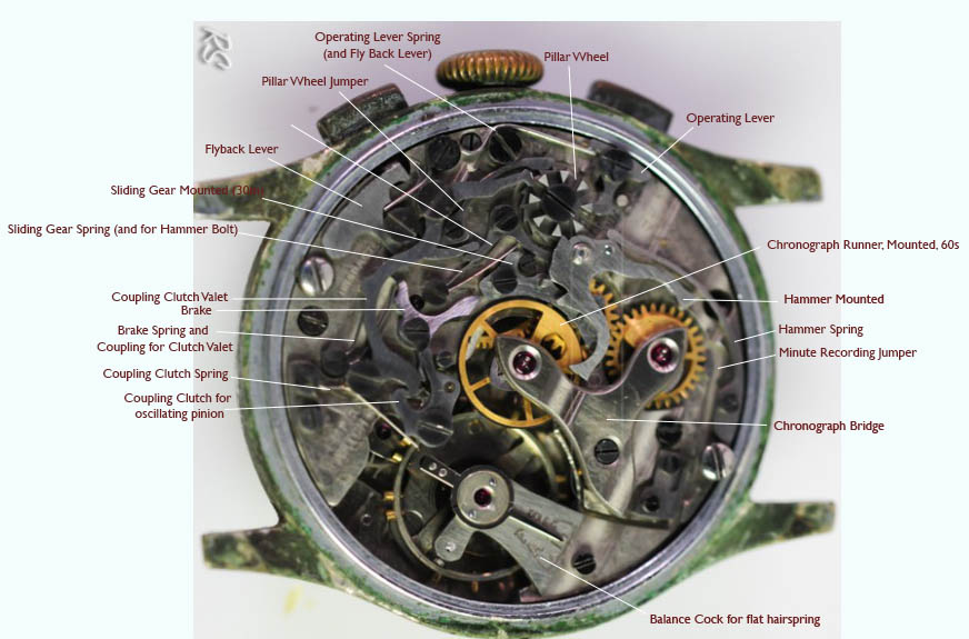 venus 170 watch movement labeled.jpg