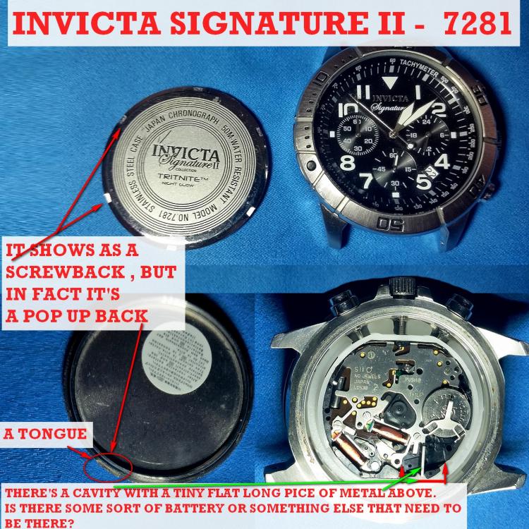 InvictaSignature7281.thumb.jpg.21c1fe7aedea24b4bd8c77361cea7120.jpg