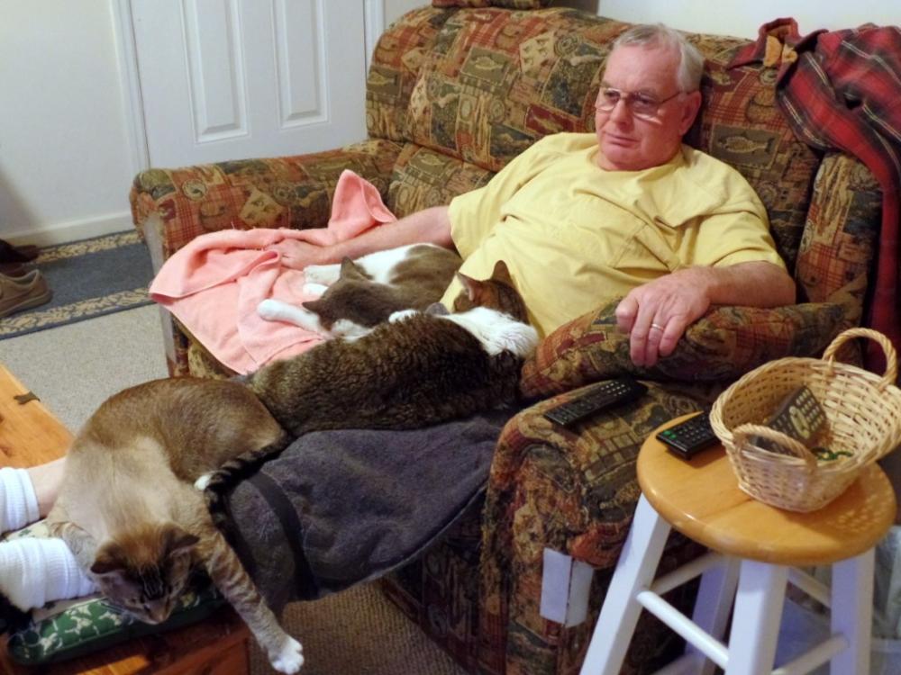 tim and three cats  28 mar 2015 (2) (Medium).jpeg