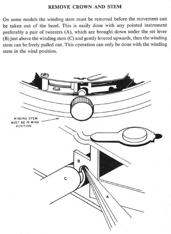 remove_crown_and_stem.thumb.jpg.2f4bfcc222cc6cd346da32ac6595c4b4.jpg