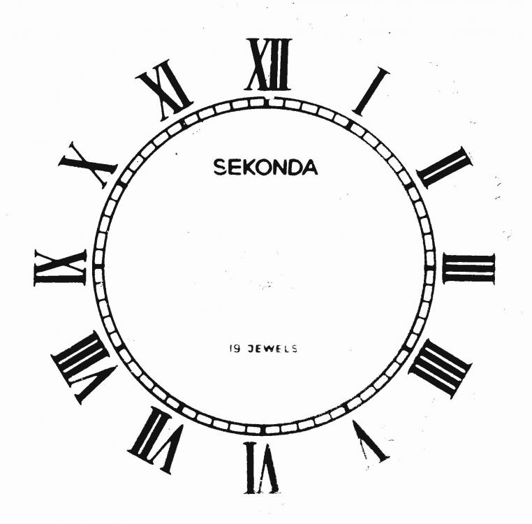 Sekonda19JewelsWhite2.jpg