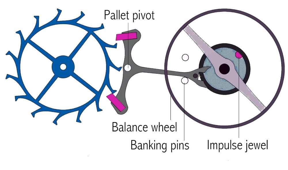 rate_symmetry_diagram-1000.jpg.64206ebda2636de7fb097626230671da.jpg