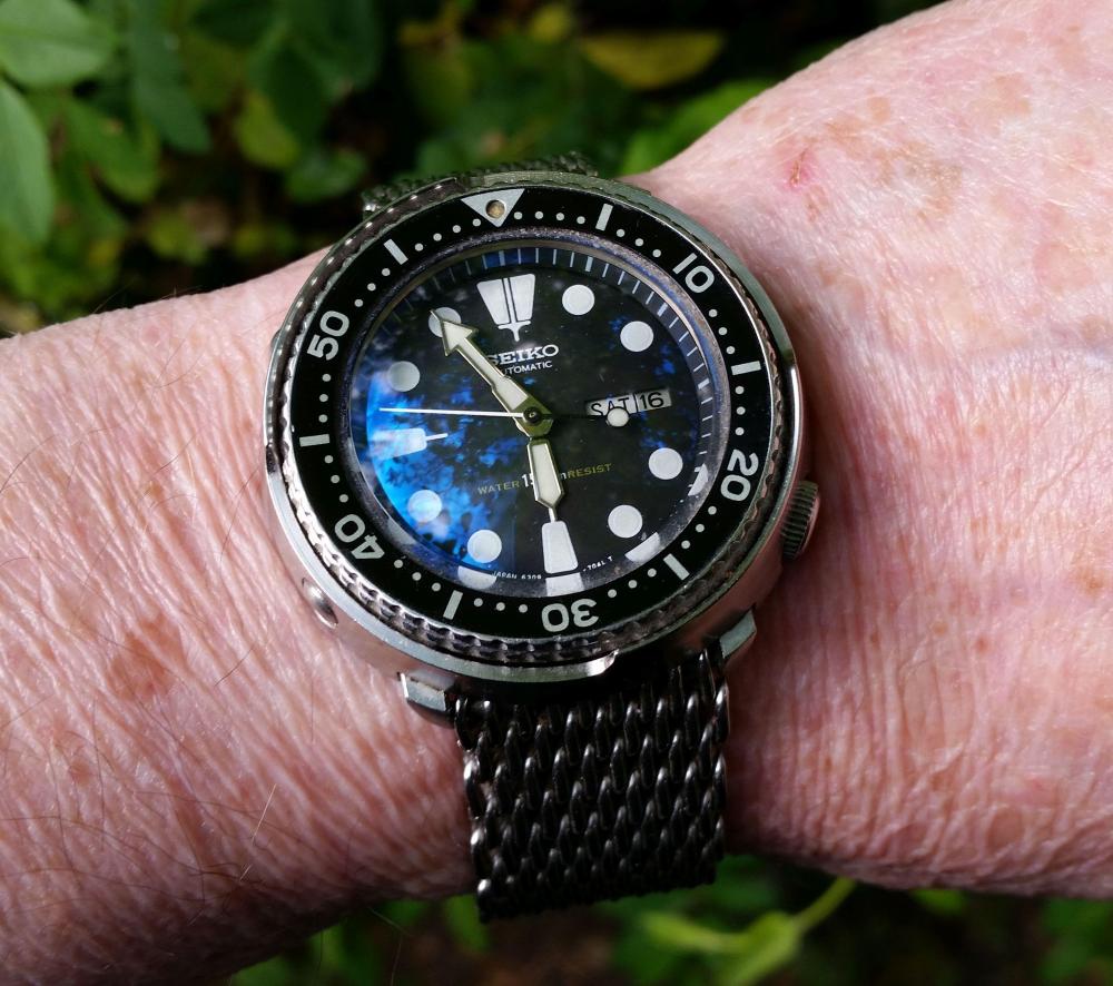 Seiko 6309 TST wrist2.jpg