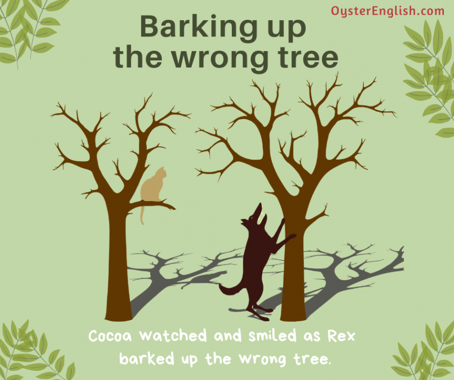 idiom-barking-up-the-wrong-tree.thumb.png.23026c6d9827ee76a231405905dadb59.png