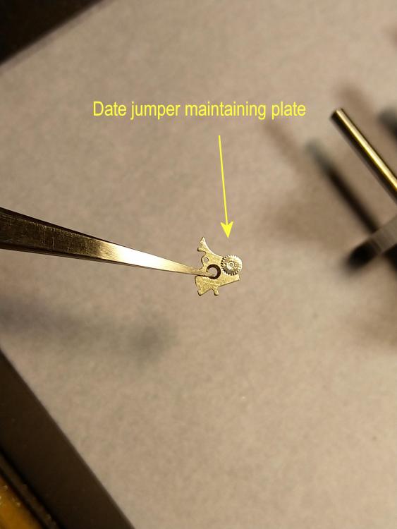 3_DateJumper_Maintaining_Plate.thumb.jpg.6bdb838bbec3687bb30dd63d78f03461.jpg