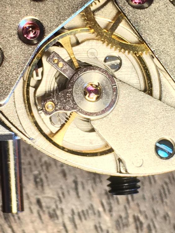 top view hairspring.JPG