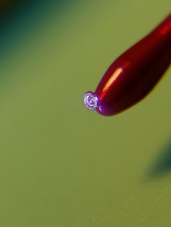 20201115_113115.thumb.jpg.4c6e8f7c0646d11367cf3a97d54dbf42.jpg