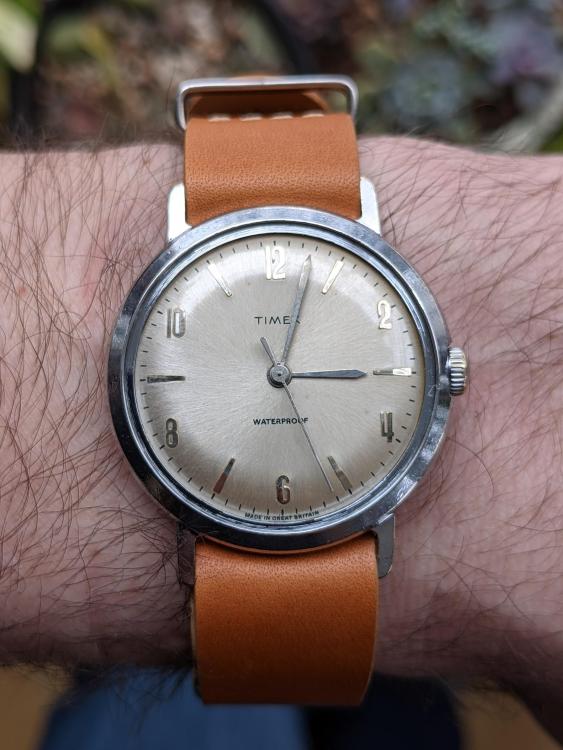 Timex Mariln 1961 - 2014 2261.jpg