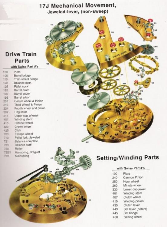 eploded diagram of a 17 jewel watch.jpg