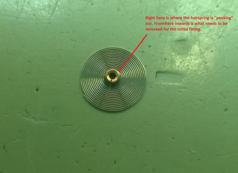 hairspring-collet.thumb.png.8260ff7c13a17024ae5c3aa390d246e1.png
