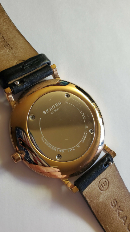 Skagen 6444.png