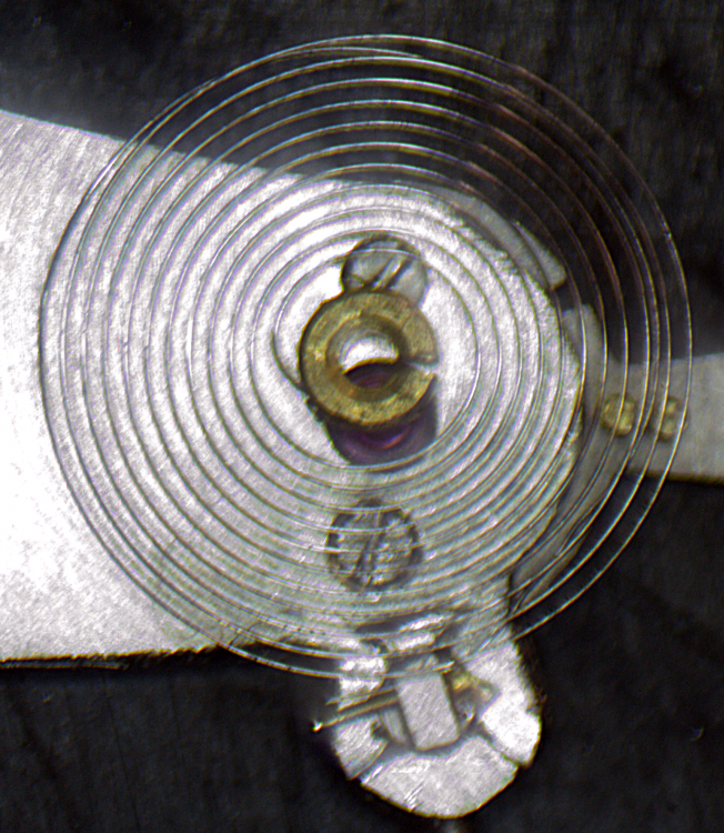 hairspring5.thumb.png.b1ba08fb4fd4b7076f9a054b1730626f.png