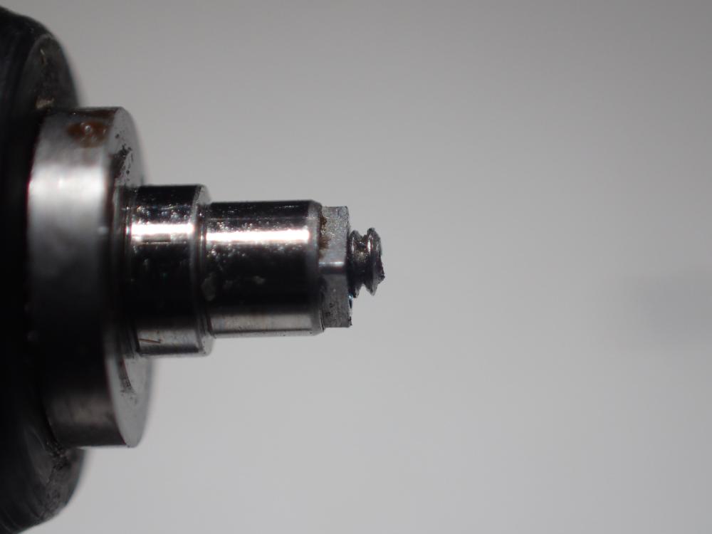 Leonidas screw2.JPG