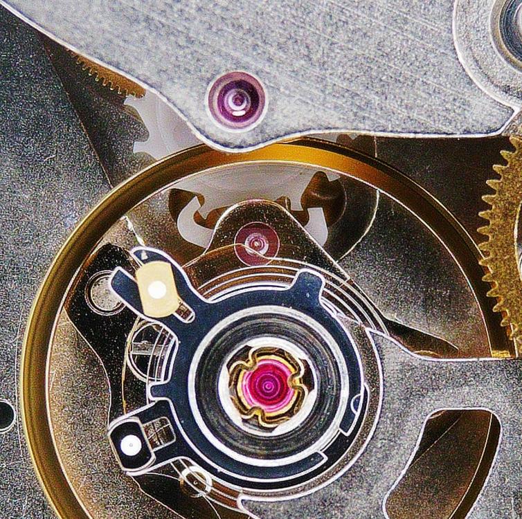 C01.211-escapement.jpg