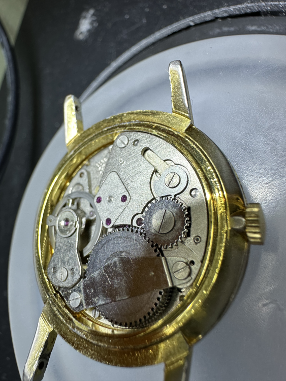 image.thumb.png.7cc70d52b942f0e8e7b09b64222732a0.png