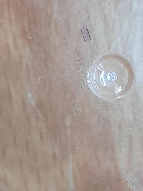 20240619_090336.jpg