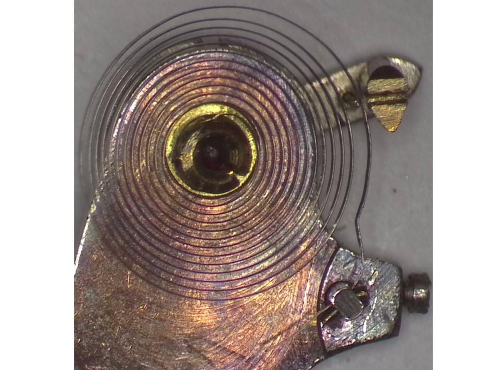 Hairspring4.jpg.c11a48db51a48afd576762379d367ec4.jpg
