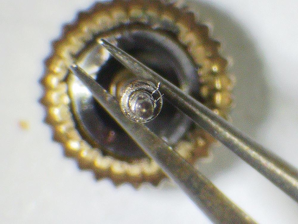 stem end.jpg