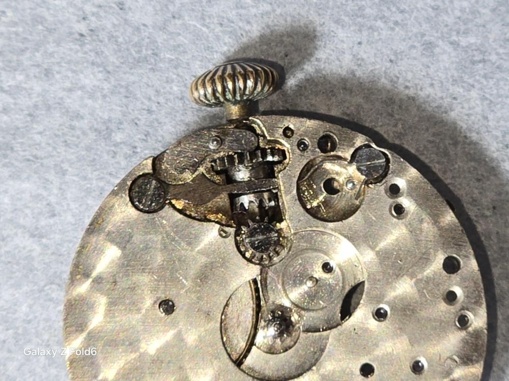 20240816_114941.jpg