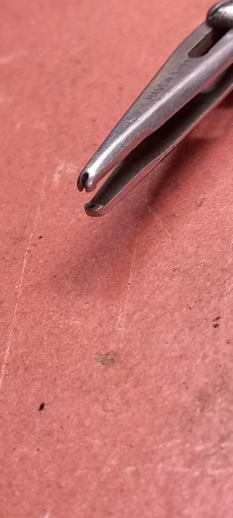 20240926_122908.jpg