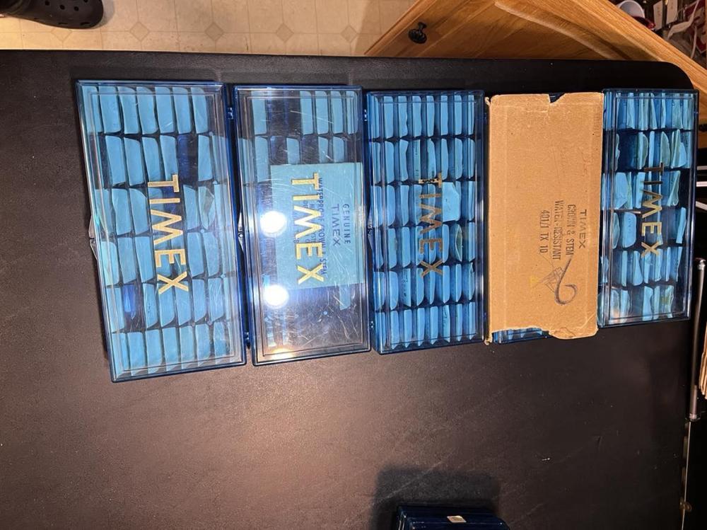 462557288_1292055565491377_2597270117026772089_n.jpg