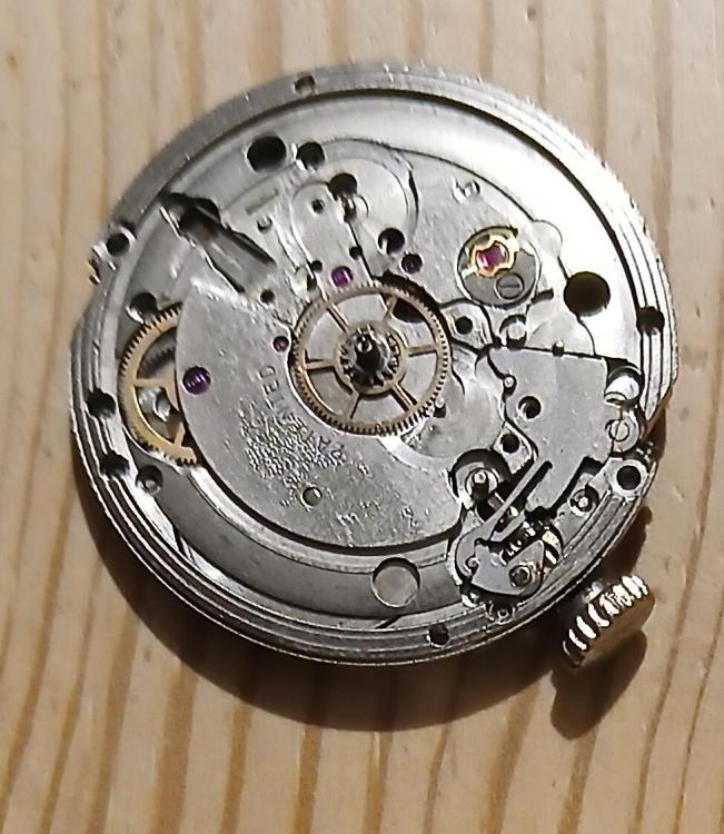 20241128_212537.jpg