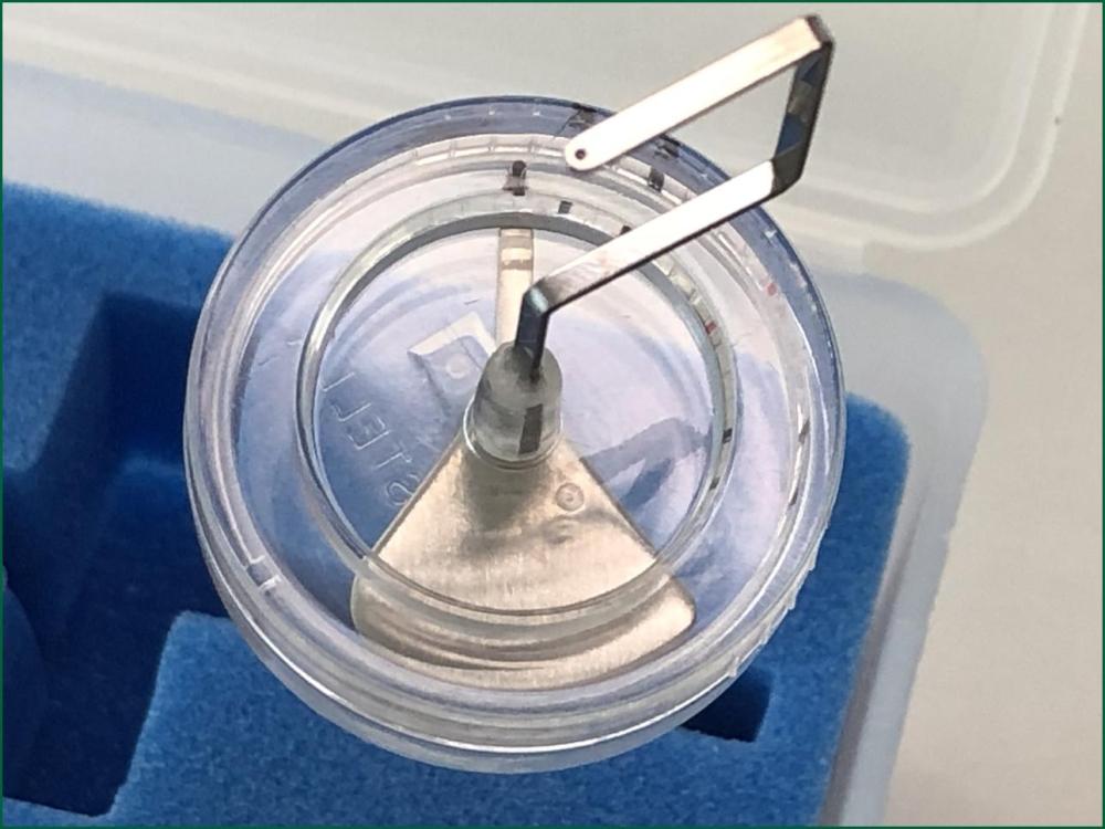 Microstella03.thumb.jpg.f80a17715528651d8b35348d5f41b0eb.jpg