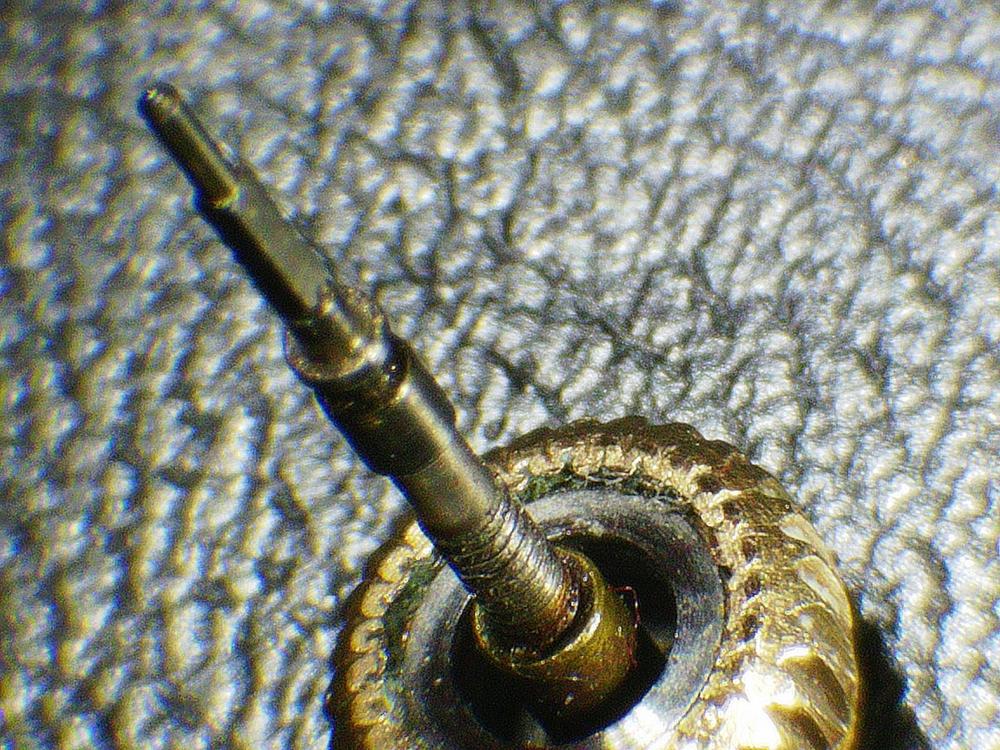 stem before cleaning.jpg