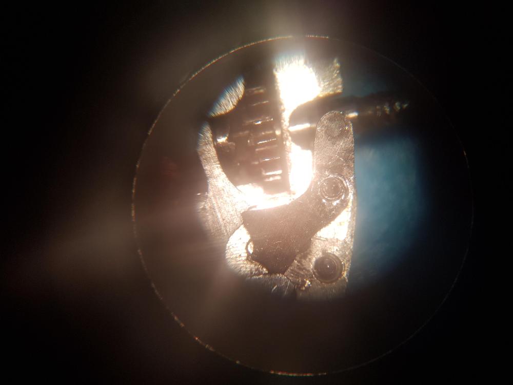 20250126_124957.thumb.jpg.b3bf4035944c3c25df0d058c589e44e8.jpg