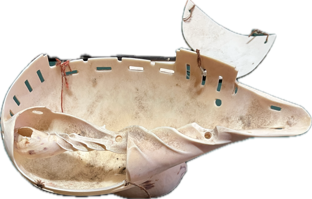 image.thumb.png.4d8f52c3472bab7cd0ff1bbfc90fa6b7.png
