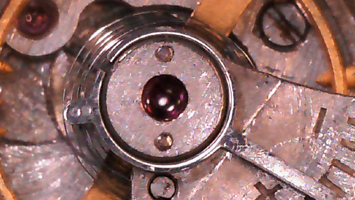 zim2602balspringstatic.png.7c66ab2c751c3c5f4d60a154bd9b4c44.png
