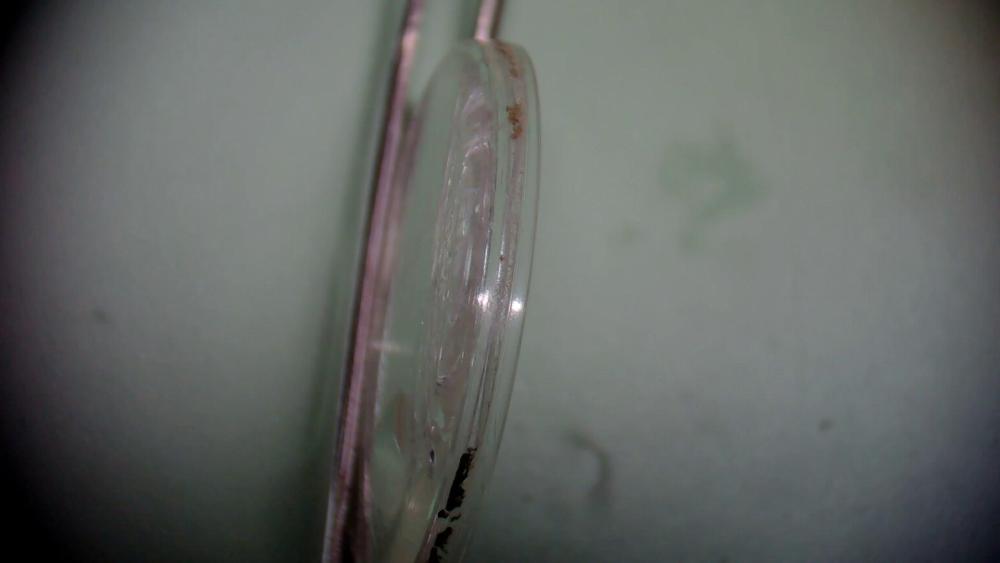 Side View 2.jpg