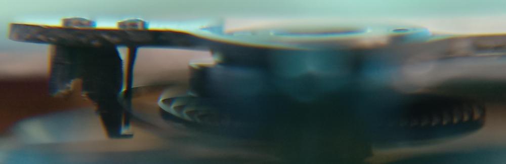 bootdish2.thumb.jpg.442d09512fcf03c6e54c01c3d82a851c.jpg
