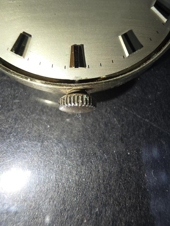 20250404_090134.jpg
