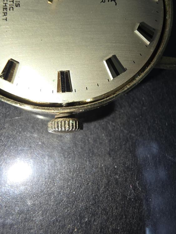 20250404_090141.jpg