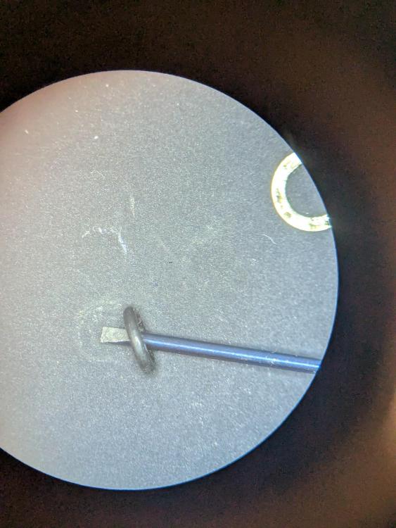 PXL_20250430_034307864.jpg
