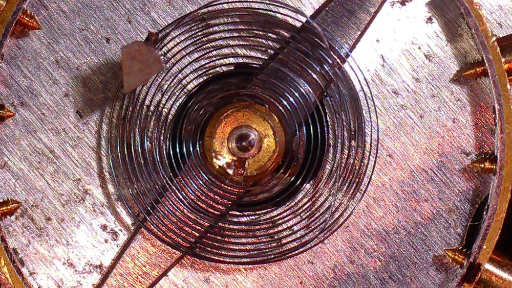 20250508150018_000149.JPG