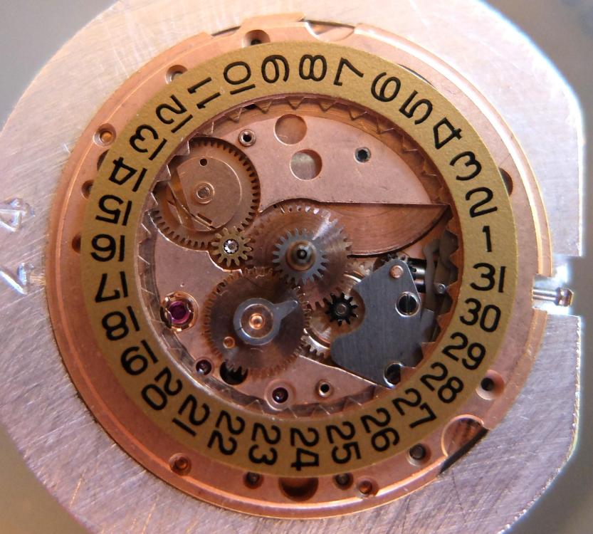 DSCF7667.JPG