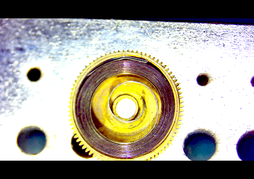 QuickCameraImage2025-05-13at8_56_39am.png.501569eda29b9f96572ee7683af2ecac.png