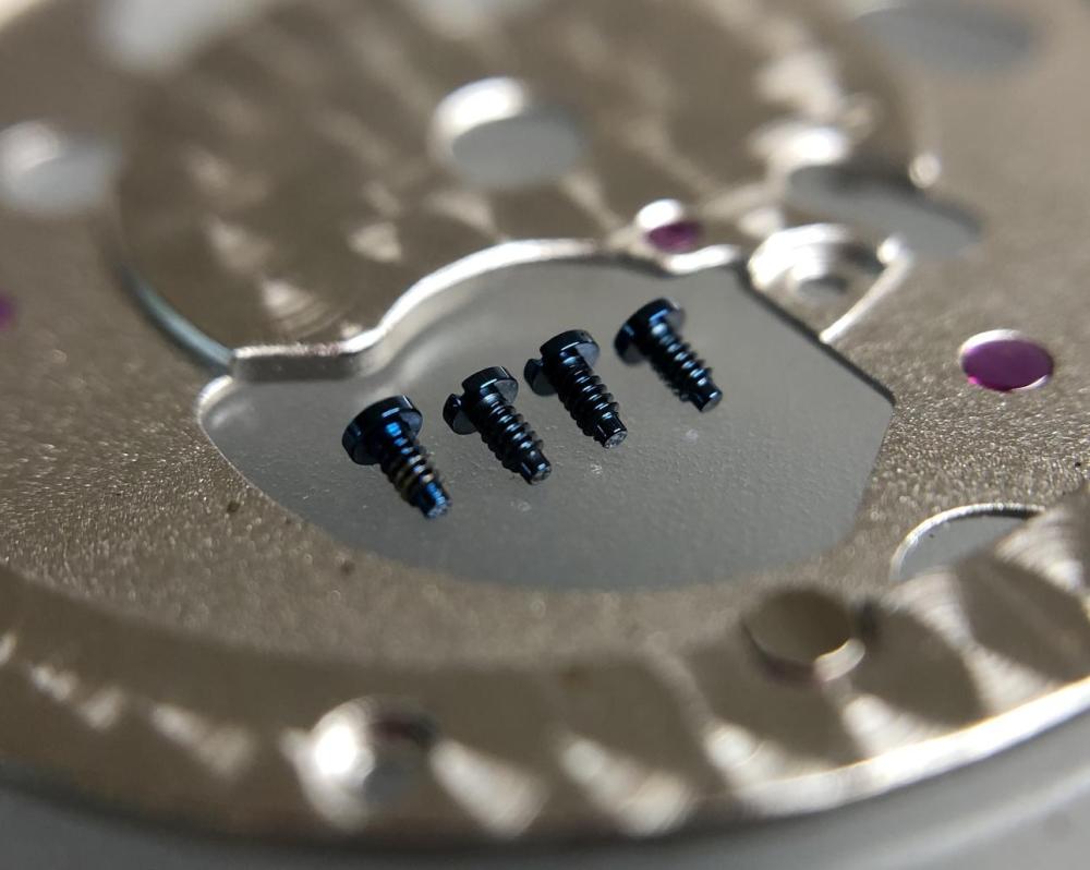 RolexBluedScrews.thumb.jpg.dc084210d136766a0002f29bac07e257.jpg